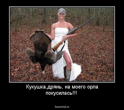 Кукушка,дрянь, на моего орла покусилась!!!