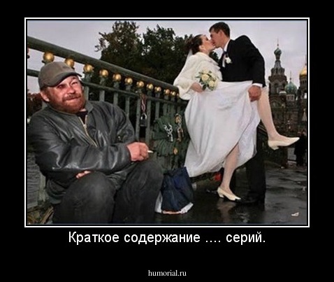 Краткое содержание .... серий.