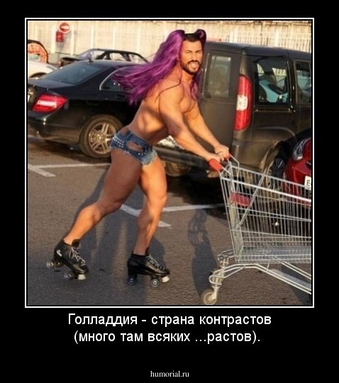 Голладдия  - страна контрастов (много там всяких ...растов).