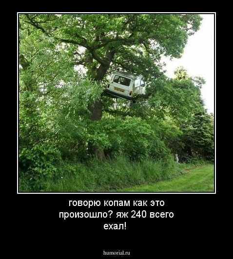 говорю копам 


как это произошло?
яж 240 всего ехал!