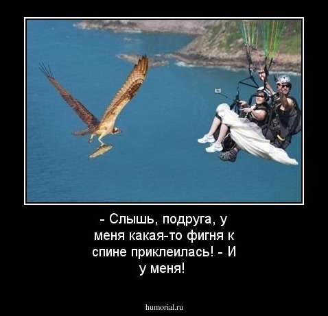 - Слышь, подруга, у меня какая-то фигня к спине приклеилась!
- И у меня!