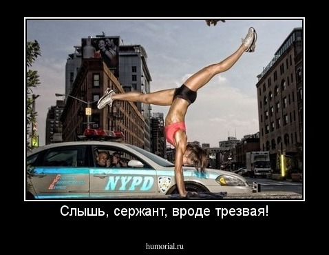 Слышь, сержант, вроде трезвая!