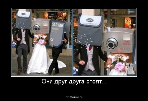 Они друг друга стоят...