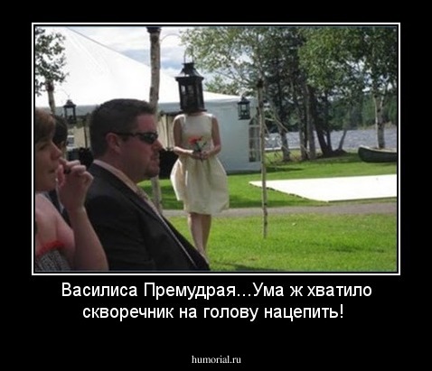 Василиса Премудрая...Ума ж хватило скворечник на голову нацепить!