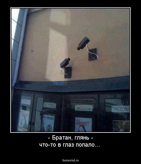 - Братан, глянь - что-то в глаз попало...