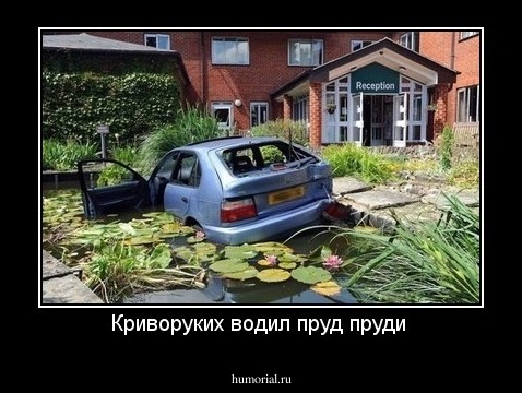 Криворуких водил пруд пруди 