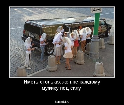 Иметь стольких жен,не каждому мужику под силу