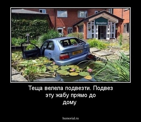 Теща велела подвезти. Подвез эту жабу прямо до дому