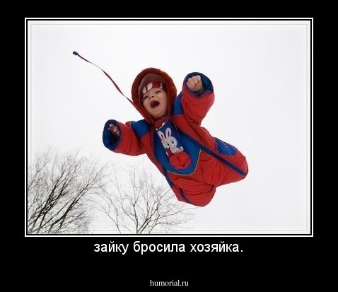 зайку бросила хозяйка.