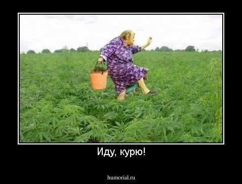 Иду, курю!