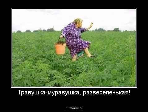 Травушка-муравушка, развеселенькая!
