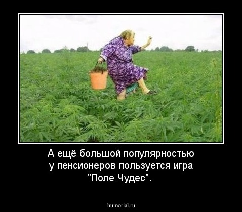 А ещё большой популярностью у пенсионеров пользуется игра "Поле Чудес".