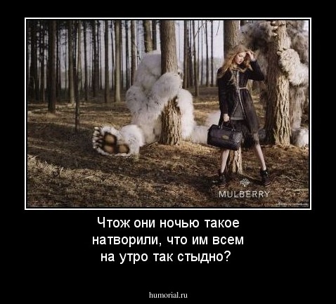 Чтож они ночью такое натворили, что им всем на утро так стыдно?