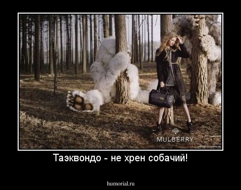 Таэквондо - не хрен собачий!