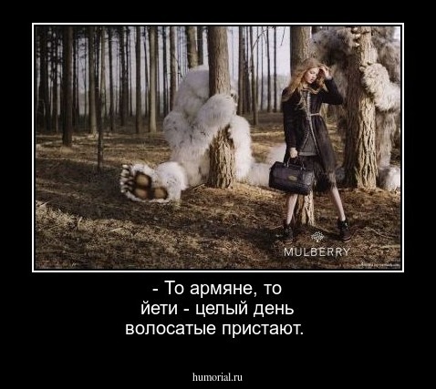 - То армяне, то йети - целый день волосатые пристают.