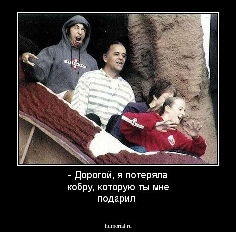 - Дорогой, я потеряла кобру,  которую ты мне подарил 