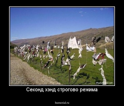 Секонд хэнд строгово режима