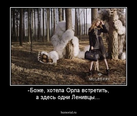 -Боже, хотела Орла встретить, а здесь одни Ленивцы...