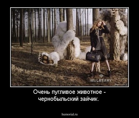 Очень пугливое животное - чернобыльский зайчик.