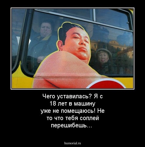 Чего уставилась? Я с 18 лет в машину уже не помещаюсь! Не то что тебя соплей перешибешь...