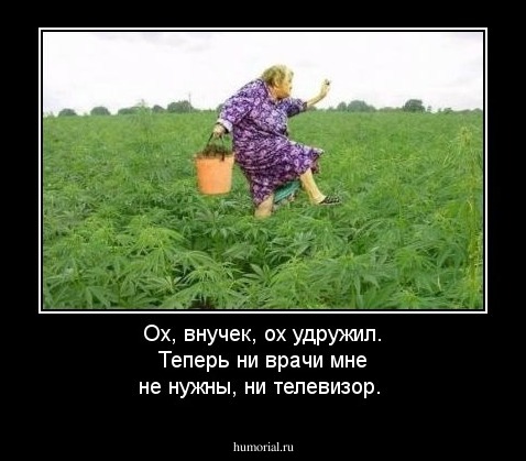 Ох, внучек, ох удружил. Теперь ни врачи мне не нужны, ни телевизор.