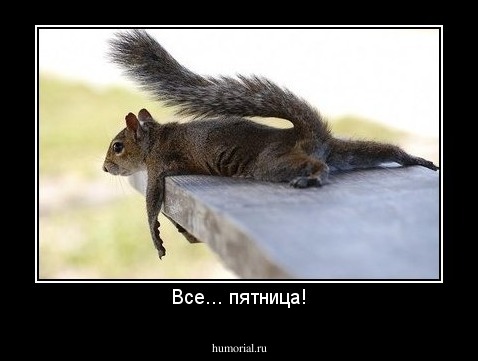 Все... пятница!
