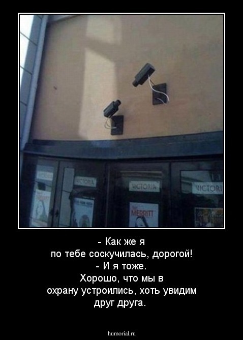 - Как же я по тебе соскучилась, дорогой! - И я тоже. Хорошо, что мы в охрану устроились, хоть увидим друг друга.