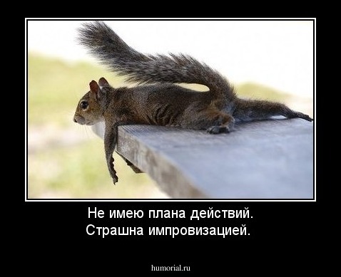 Не имею плана действий. Страшна импровизацией.