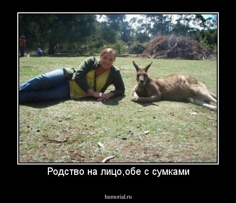 Родство на лицо,обе с сумками