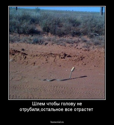 Шлем чтобы голову не отрубили,остальное все отрастет