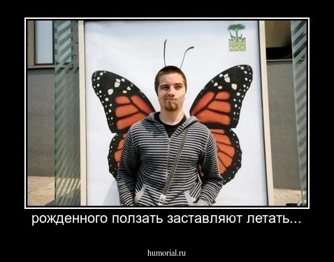 рожденного ползать заставляют летать...