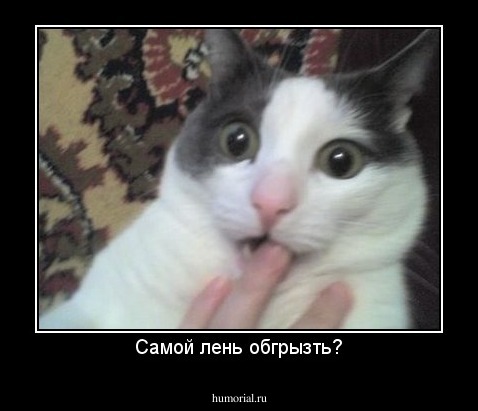 Самой лень обгрызть?