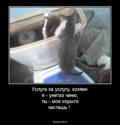 Услуга за услугу, хозяин:  я - унитаз чиню, ты - мое корыто чистишь !