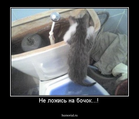 Не ложись на бочок...! 