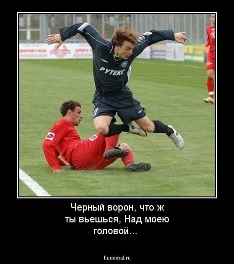 Черный ворон, что ж ты вьешься, Над моею головой...