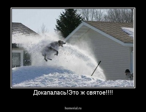 Докапалась!Это ж святое!!!!