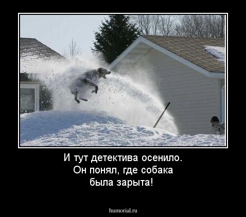 И тут детектива осенило. Он понял, где собака была зарыта! 