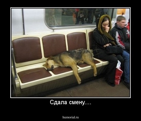 Сдала смену....