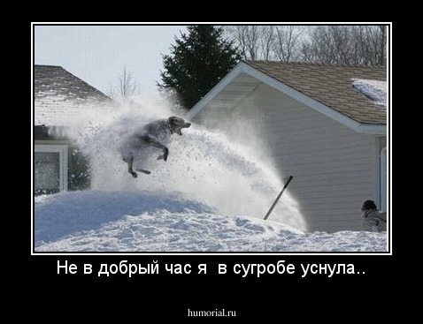Не в добрый час я  в сугробе уснула..
