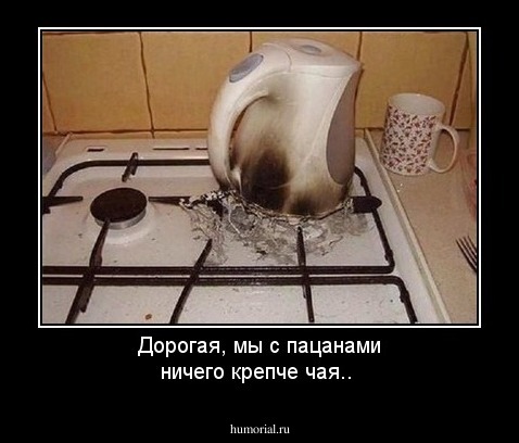 Дорогая, мы с пацанами ничего крепче чая..