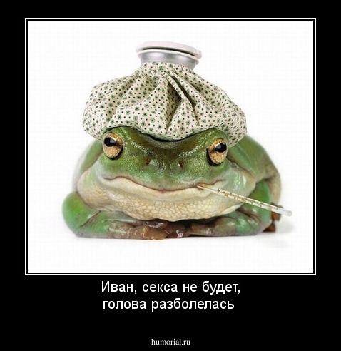 Иван, секса не будет,  голова разболелась