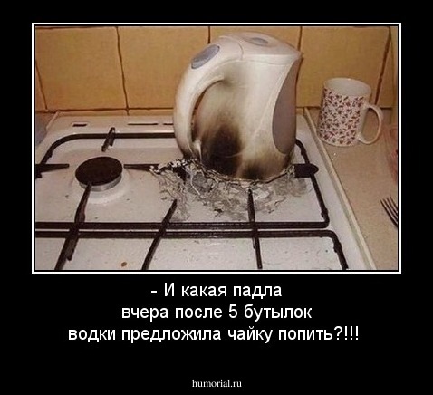 - И какая падла вчера после 5 бутылок водки предложила чайку попить?!!!