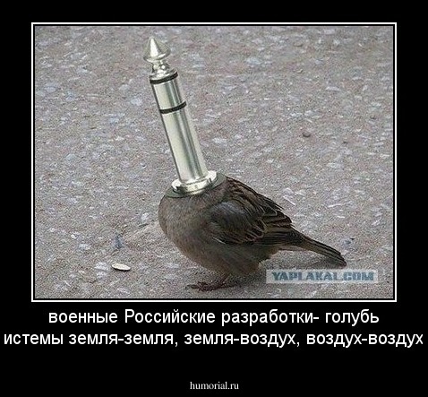 военные Российские разработки- голубь системы земля-земля, земля-воздух, воздух-воздух.