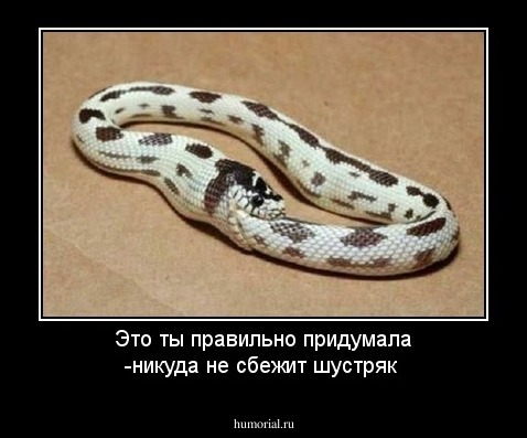 Это ты правильно придумала -никуда не сбежит шустряк