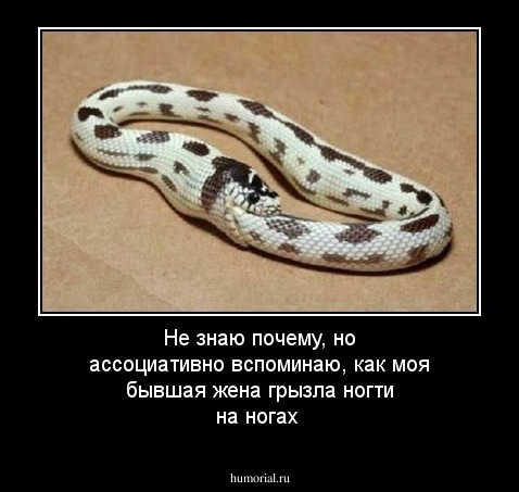 Не знаю почему, но ассоциативно вспоминаю, как моя бывшая жена грызла ногти на ногах  