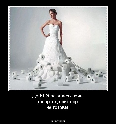 До ЕГЭ осталась ночь, шпоры до сих пор не готовы