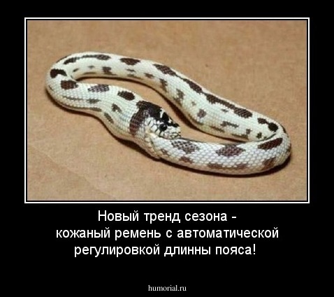 Новый тренд сезона - кожаный ремень с автоматической регулировкой длинны пояса!