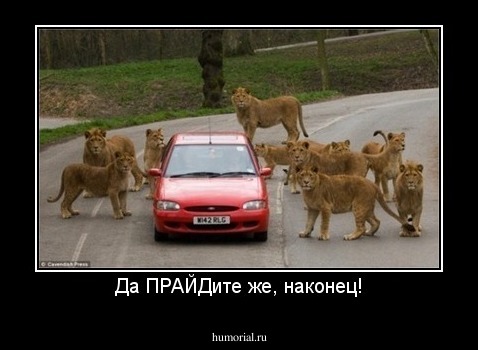Да ПРАЙДите же, наконец!
