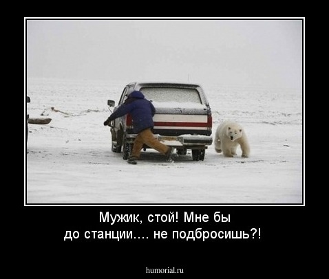 Мужик, стой! Мне бы до станции.... не подбросишь?!