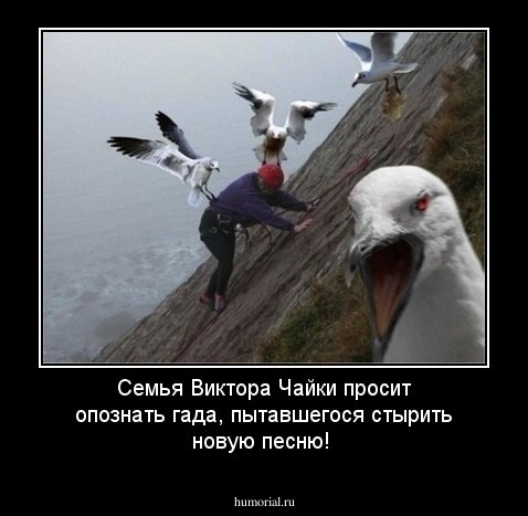 Семья Виктора Чайки просит опознать гада, пытавшегося стырить новую песню!